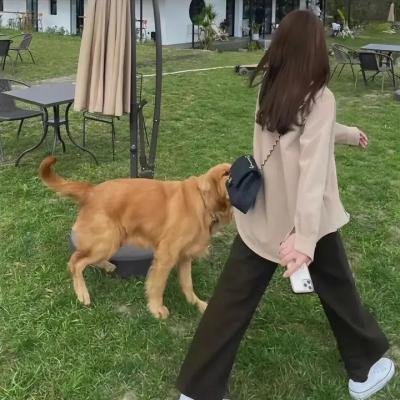 爱凡隆高校